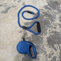 Set of Two Blue Dog 🐕 Leashes Flexi