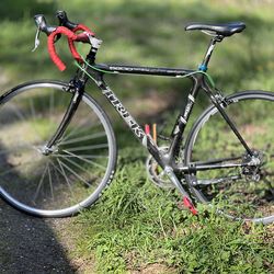 2006 Trek 5200 Carbon Fiber Road Bike
