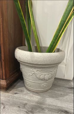 Beautiful Big Planter With Soil - Like New!