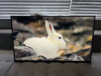 50 Inch 4K Hisense Roku Smart TV