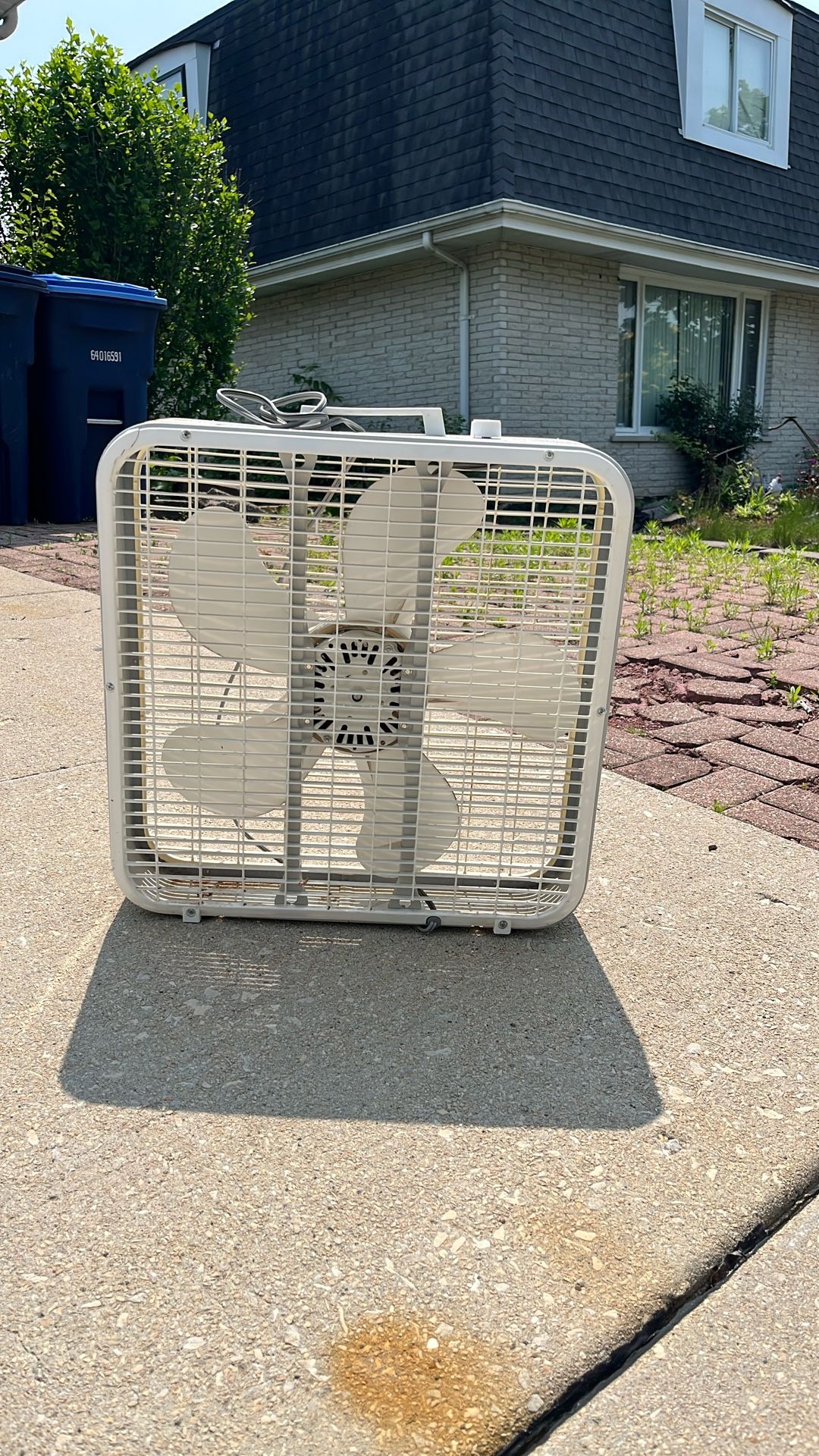 Box Fan (set of 3)
