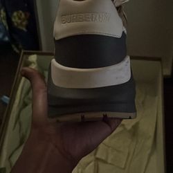 Shoe The Back Is Mess Up A Little Bit 