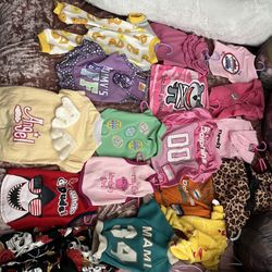 Dog Clothes