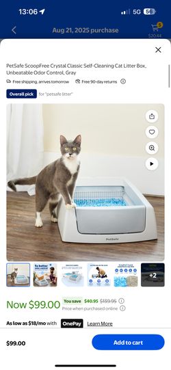 Automatic Cleaning Litter Box 
