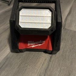 Rover Dual Power Flood Light