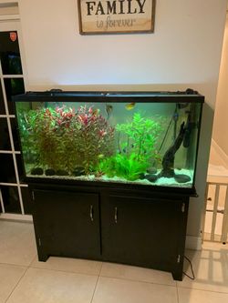 fishbowl For Sale/ Pecera En Venta 