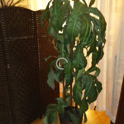 Nice, Faux Plant... Over 6ft Tall