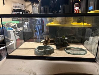 36 Inch Glass Reptile Enclosure and Dual Heat Lamp