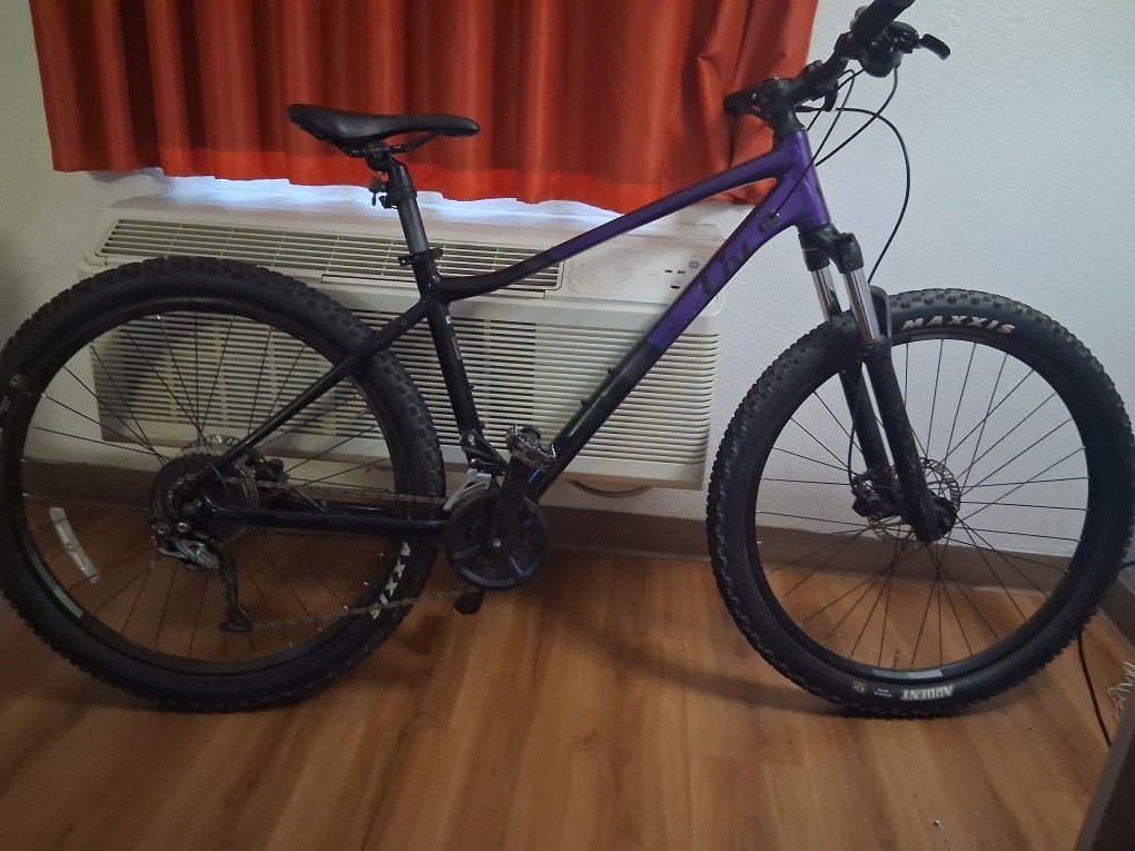 29 Inch Mountain Bike