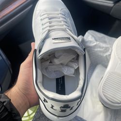 Phillipp Plein Designer Shoes