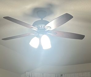 Fan with light