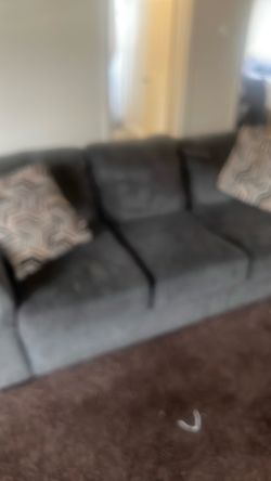 Two couches for sale .