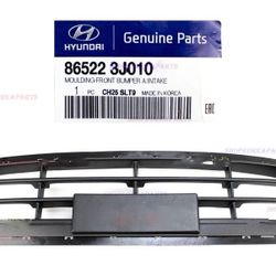 Genuine Front Bumper Radiator Grille Lower Center OEM Hyundai Veracruz 2007-2012
