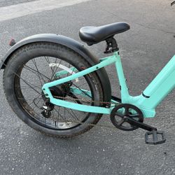 Ebike 