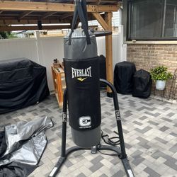 Everlast Heavy bag and Sped bag Combo. 