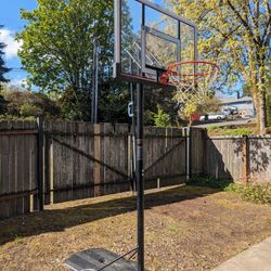 Lifetime 50'' All Star Portable Basketball Hoop