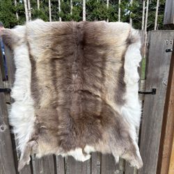 Deer Pelt