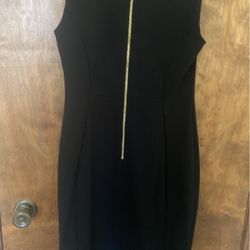 Calvin Klein Shift Dress