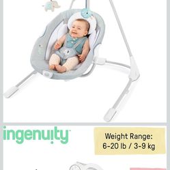 Ingenuity Infant Swing 