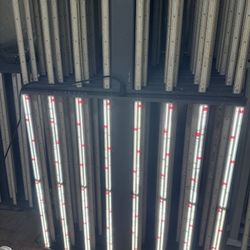 Gavita 1700 Led light