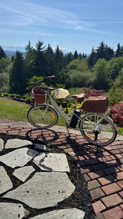 Electric bike classic
