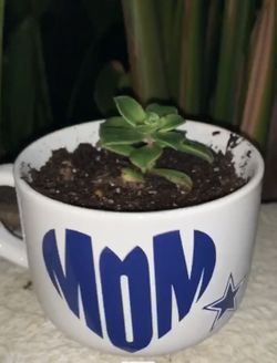 Custom made Mother’s Day coffee mug succulents