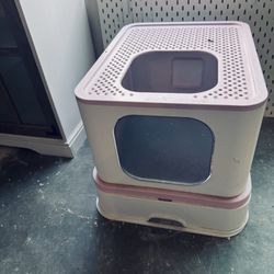 big size litter box for your cay