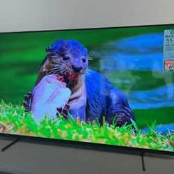 Sony 55” 4k smart tv oled 55A80L 