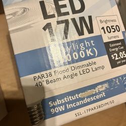 LED 17 WATT Lightbulb 