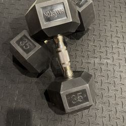 35lbs Dumbbell Ser