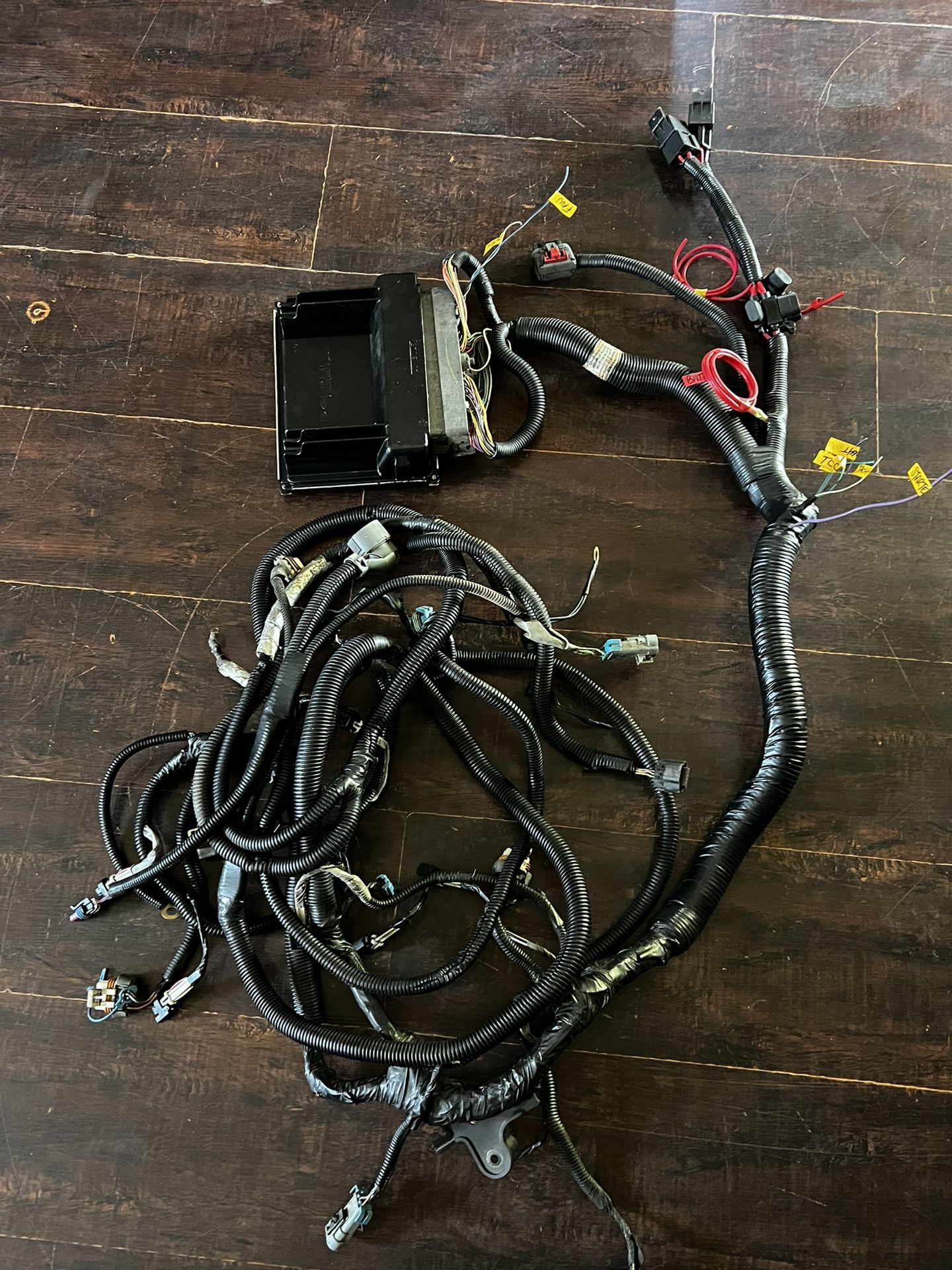 Stand alone Harness