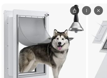 Dog Door
