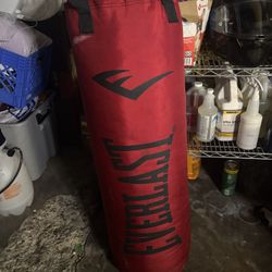 Everlast Punching Bag 