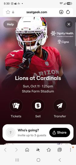 Lions at Cardinals Oct 11th