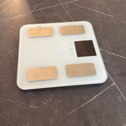 Weight Scale 
