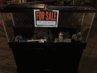 50 galllon fish tank with all accessories. 5 inch x 1 inch