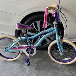 Schwin Girls Bike