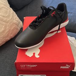 Puma Ferrari Cat