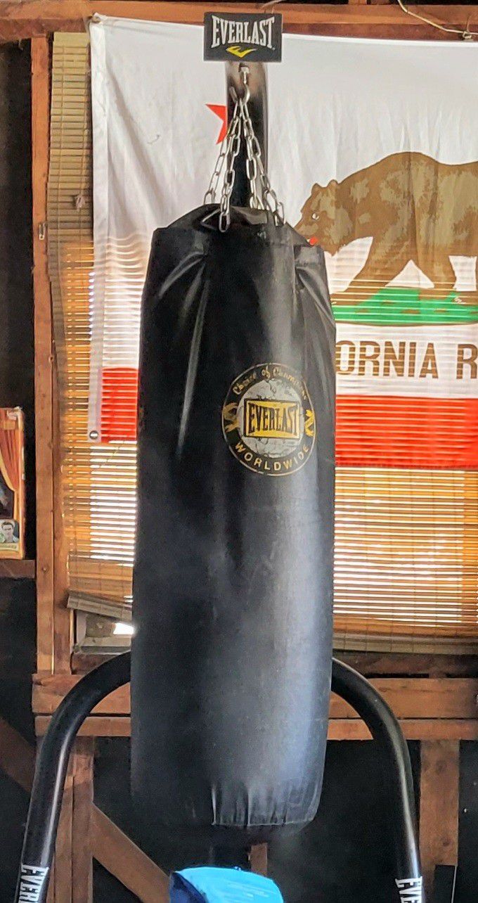 Everlast Stand And Heavy Bag With Speed Bag 