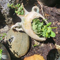 Beautiful CLAY Succulent Arrangement