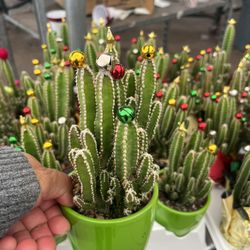 Christmas Gifts Available Now $12 Each 