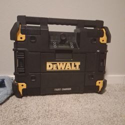 Dewalt Speaker 