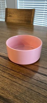 Ceramic Dog And Cat Bowl