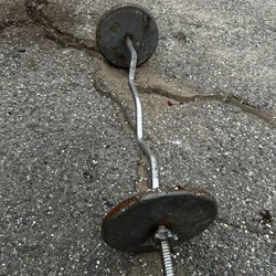 Curl Bar Pair Of 25lbs Weight Plates 