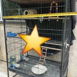 Birds Cage