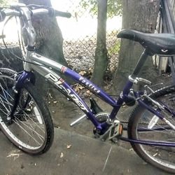 Planet Earth Bike Epsilon 21 Speed