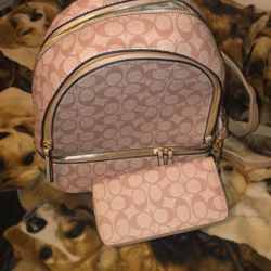Women’s backpack/purse with wallet