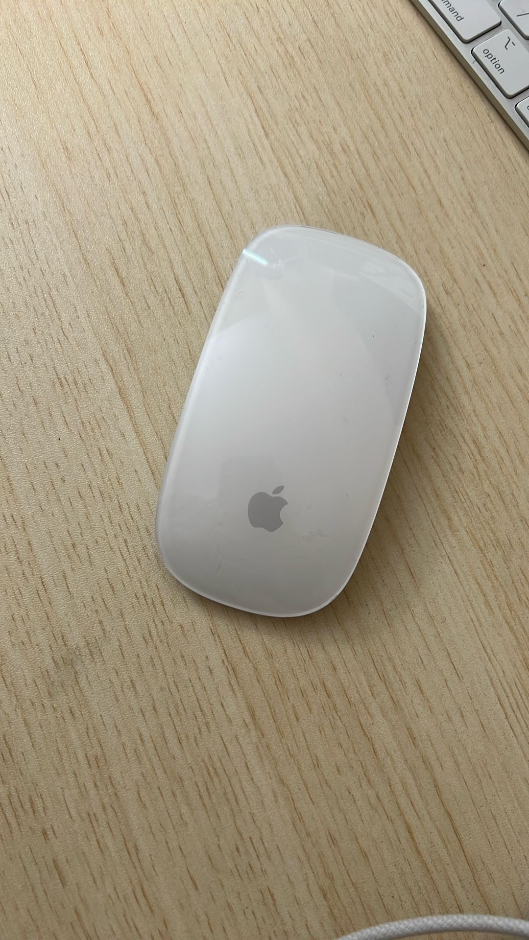 Magic Mouse Wireless (white)