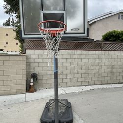 Lifetime Basketball Hoop 