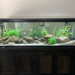 125 GALLON FISH TANK WITH STAND